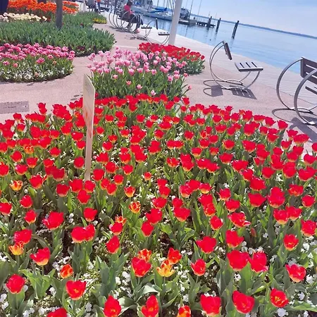 Caba Pasubio Bardolino