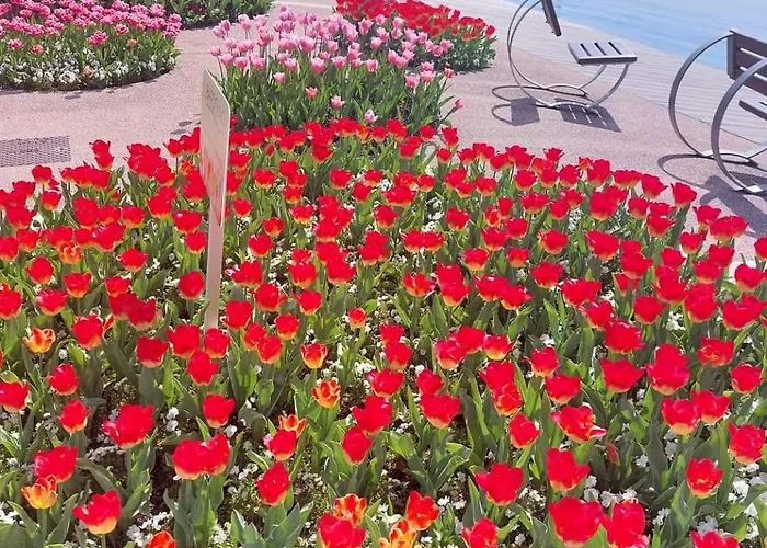 Caba Pasubio Бардоліно